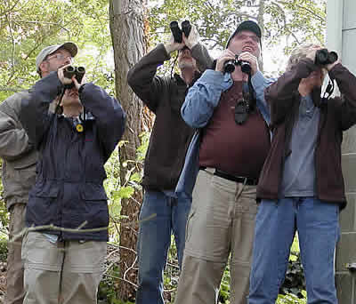 http://www.capemaytimes.com/birds/pictures/07worldseries400-4.jpg