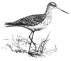 http://www.alaska.net/~peeps/logo.gif